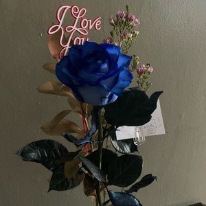 Meet your Posher, Natasha